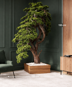 Grand Cascade Bonsai Tree