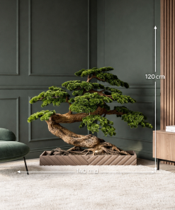 Majestic Twisted Bonsai Tree